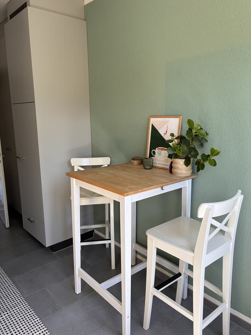 Joli appartement meublé 2 pièces dans le cozy Wollishofen (4)