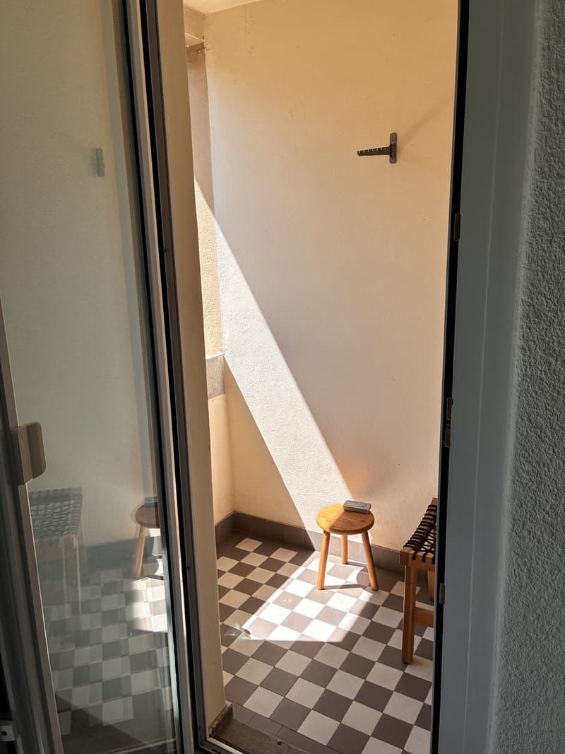 Joli appartement meublé 2 pièces dans le cozy Wollishofen (5)
