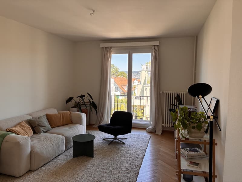 Joli appartement meublé 2 pièces dans le cozy Wollishofen (1)