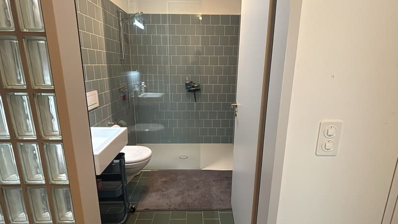 WG Zimmer (4-Zimmer Wohnung) (5)