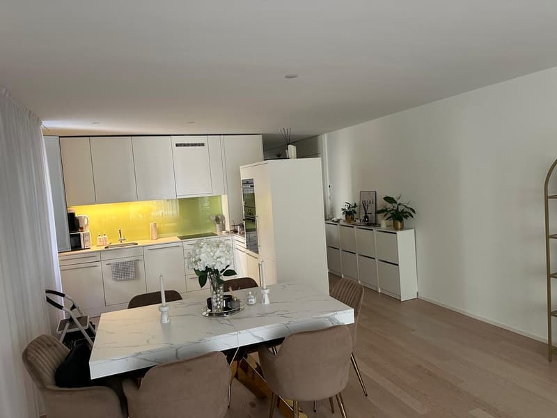 3.5 Room Apartment Kloten (3)