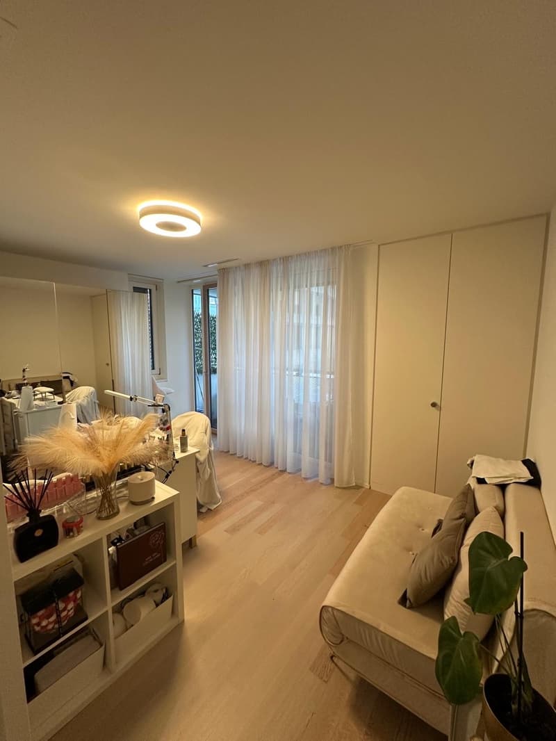 3.5 Room Apartment Kloten (6)