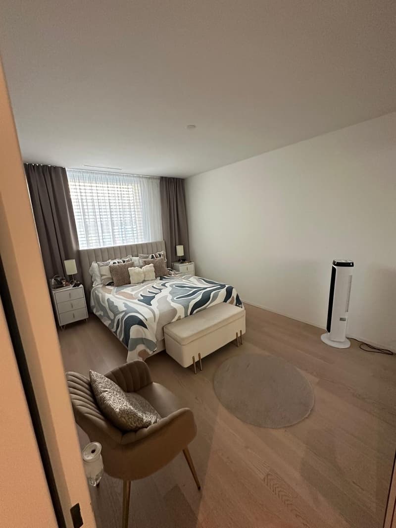 3.5 Room Apartment Kloten (5)