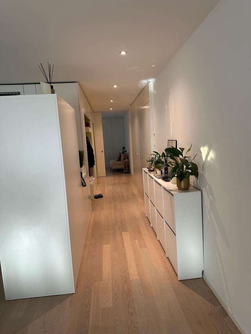3.5 Room Apartment Kloten (4)
