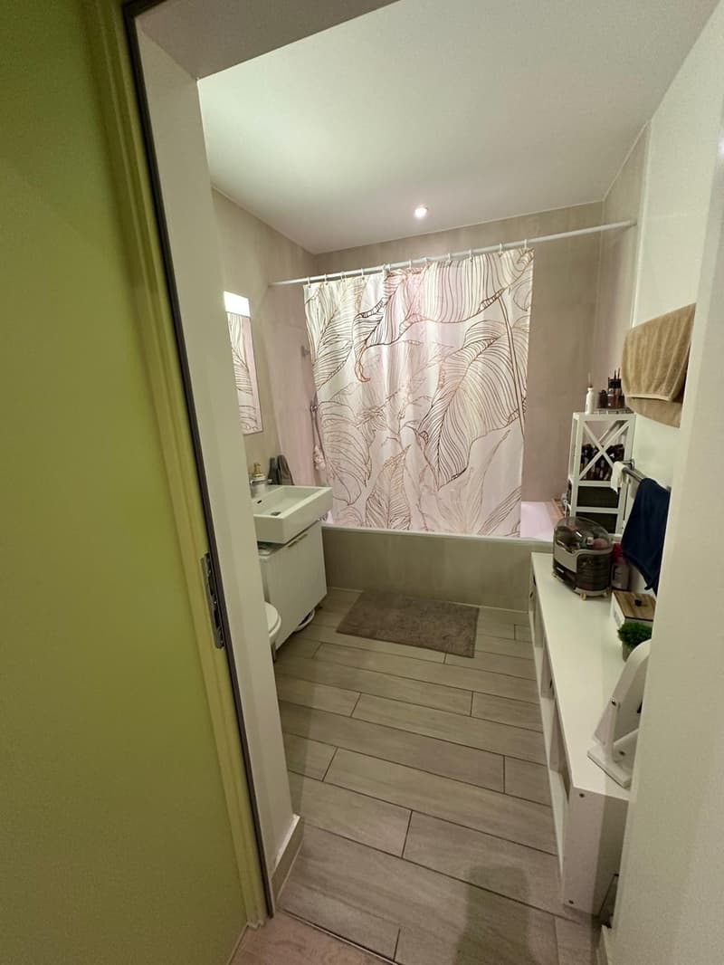 3.5 Room Apartment Kloten (7)