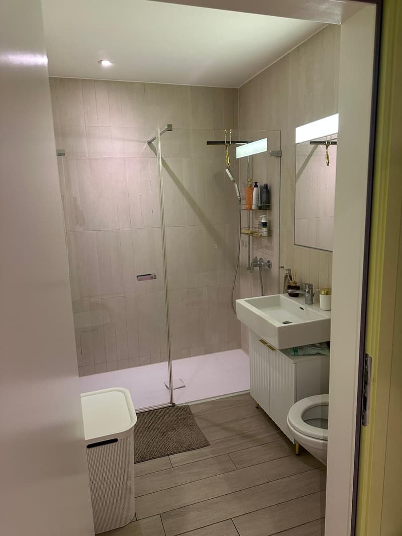 3.5 Room Apartment Kloten (8)
