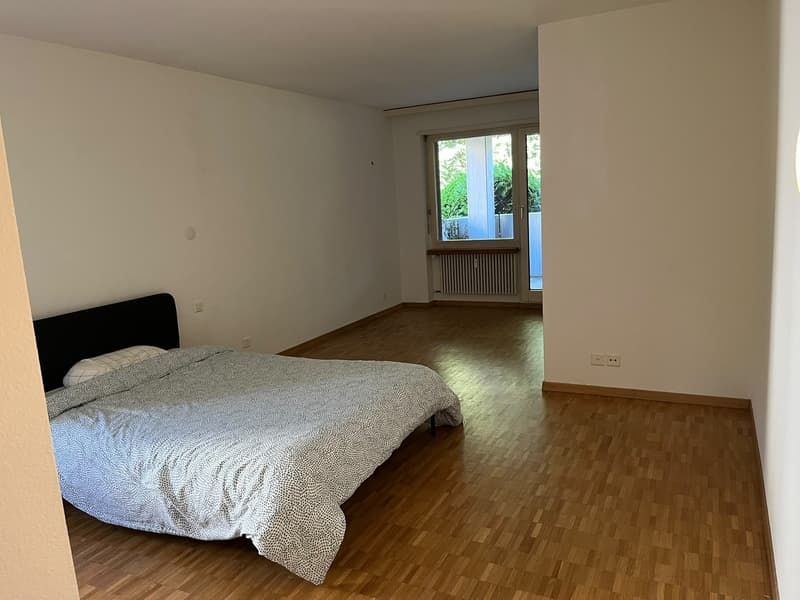 Large Room with Private Bathroom & Balcony in Modern Opfikon Apartment (2)