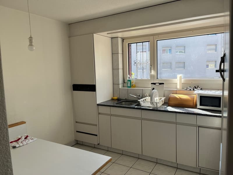 Large Room with Private Bathroom & Balcony in Modern Opfikon Apartment (7)