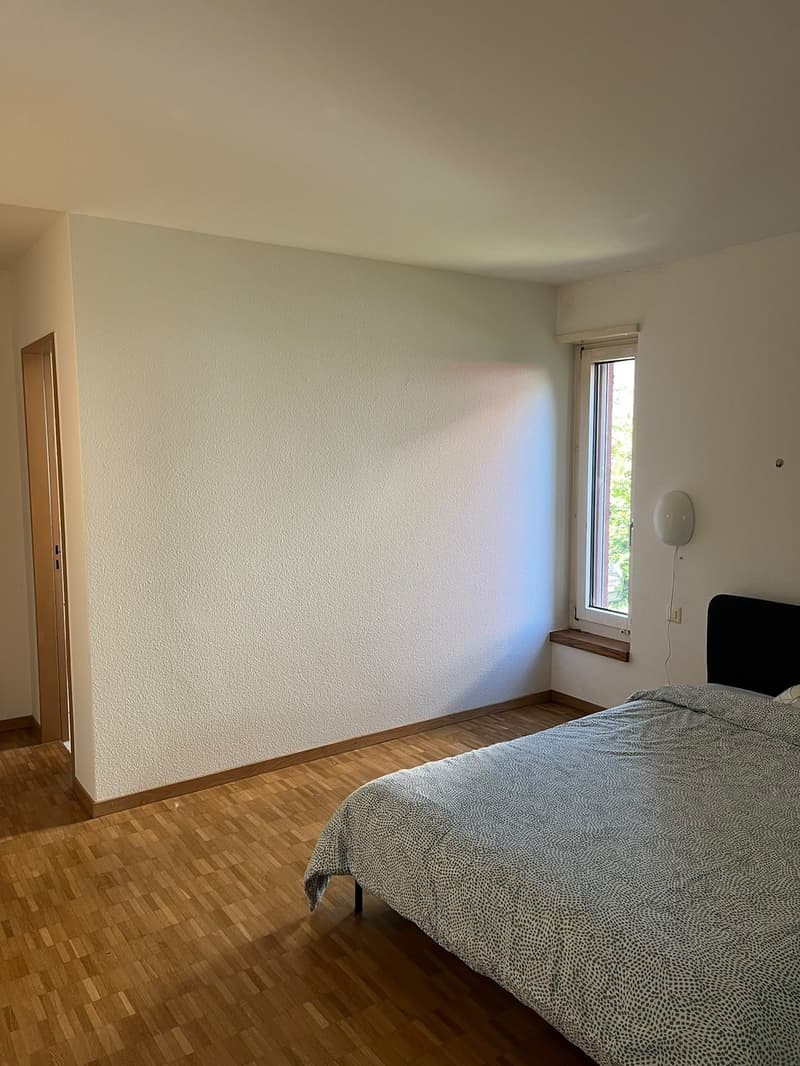 Large Room with Private Bathroom & Balcony in Modern Opfikon Apartment (4)