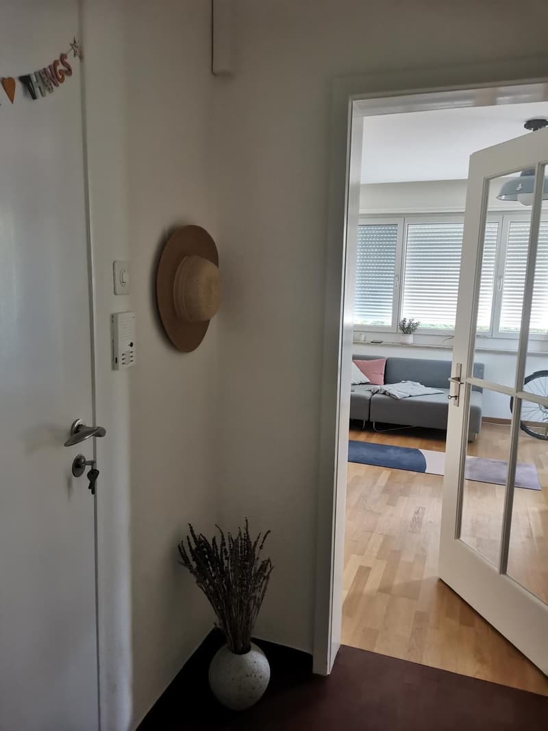 1 ½ Zimmer-Wohnung, 8032 Zürich (1)