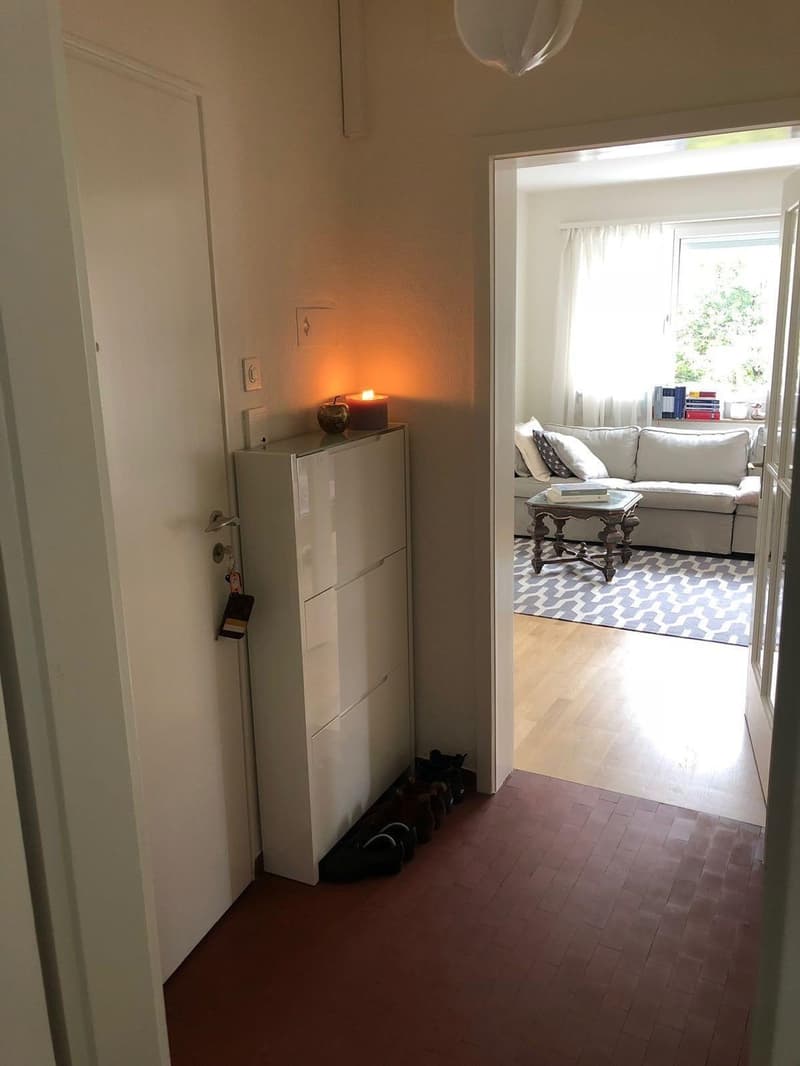 1 ½ Zimmer-Wohnung, 8032 Zürich (5)