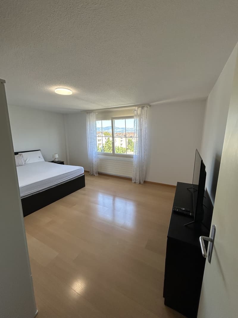 3.5 room apartment in Reichenburg (3)