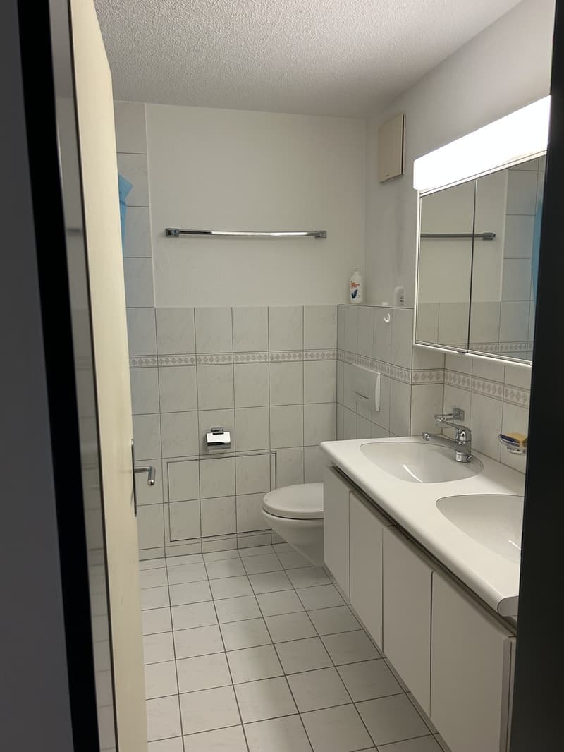 3.5 room apartment in Reichenburg (6)