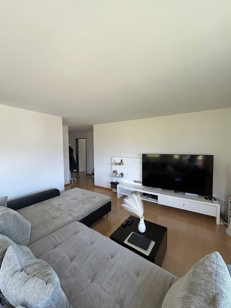 3.5 room apartment in Reichenburg (1)