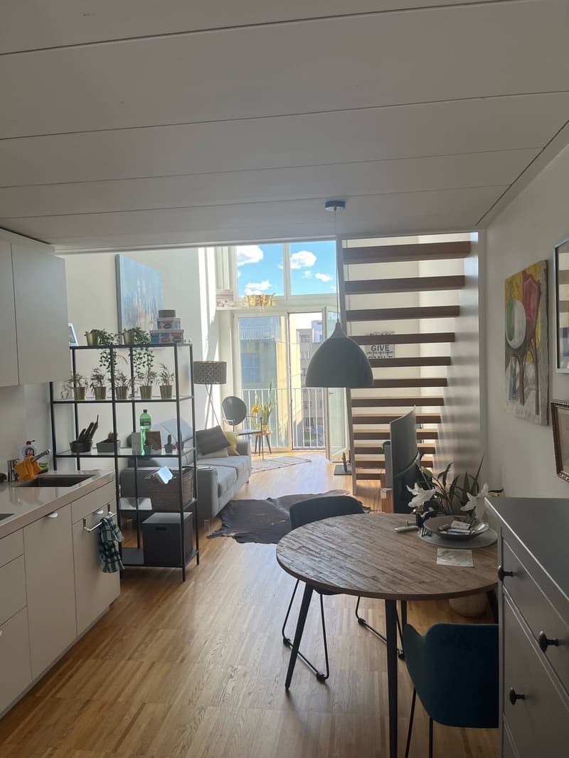 Wohnung für Pendler / Weekend flat (1)