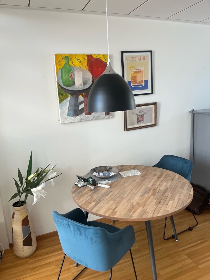 Wohnung für Pendler / Weekend flat (3)