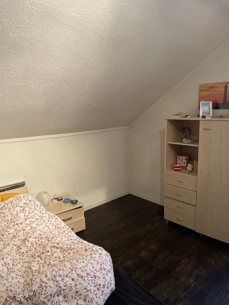 Grand Appartement (10)
