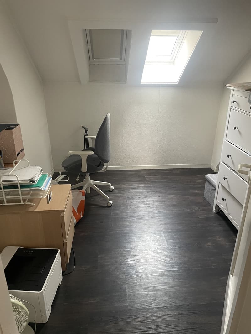 Grand Appartement (13)
