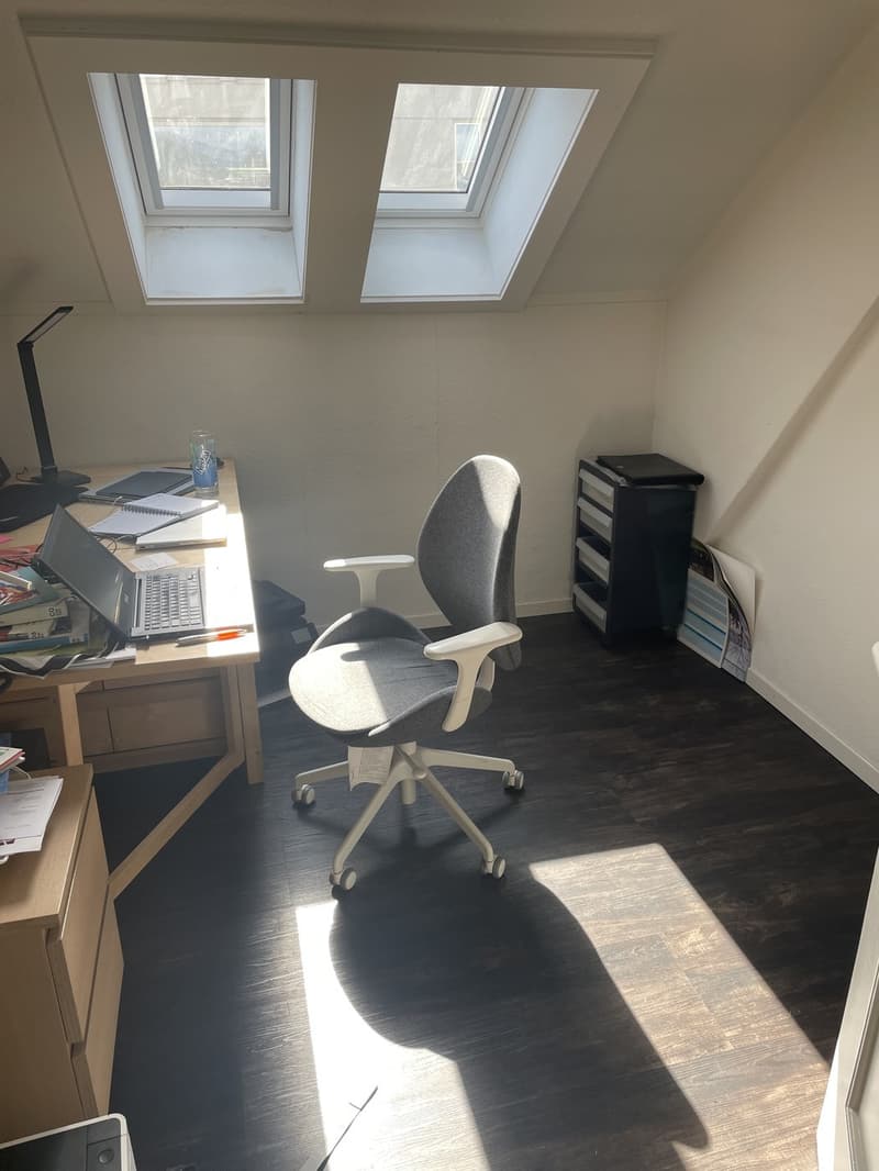 Grand Appartement (4)