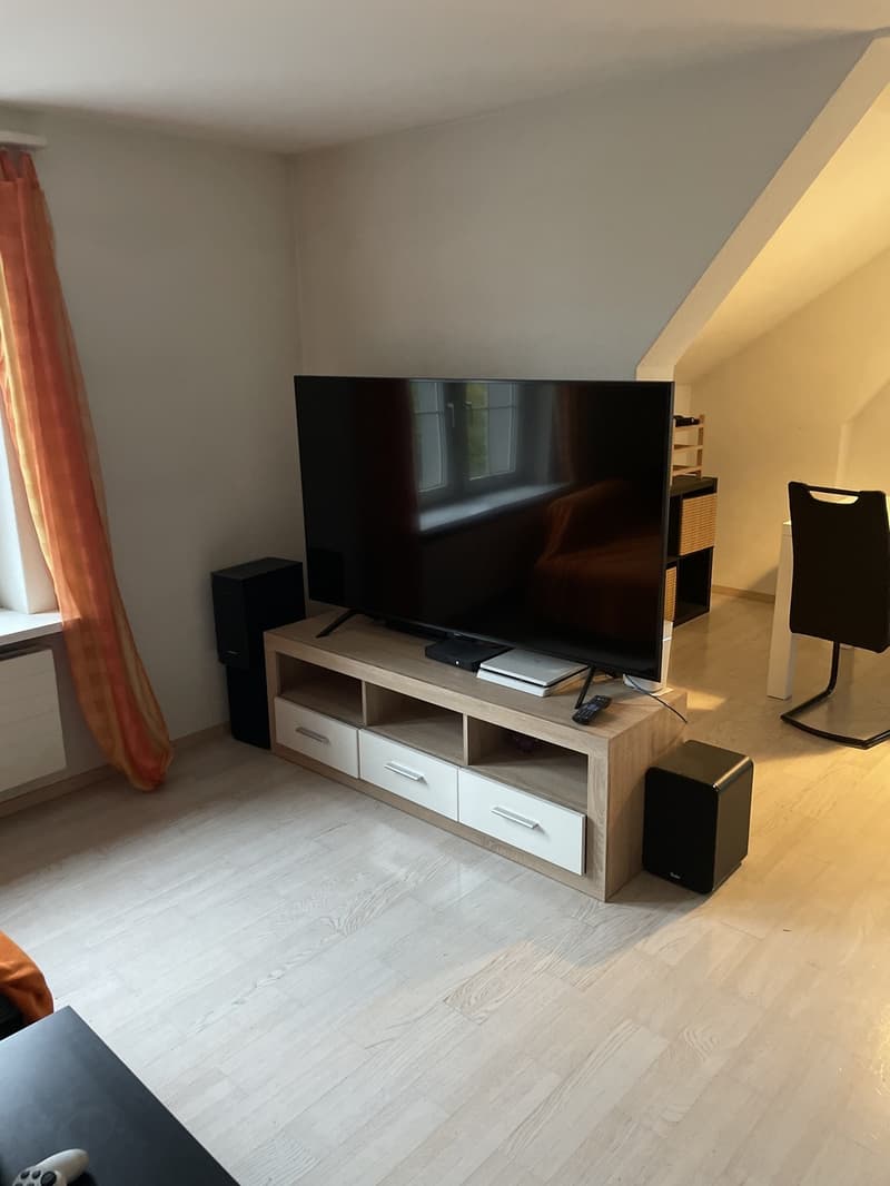 Grand Appartement (9)