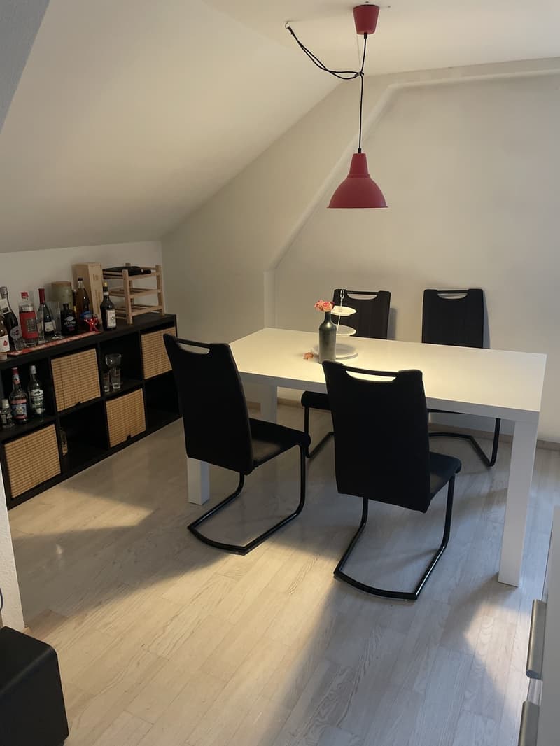 Grand Appartement (7)