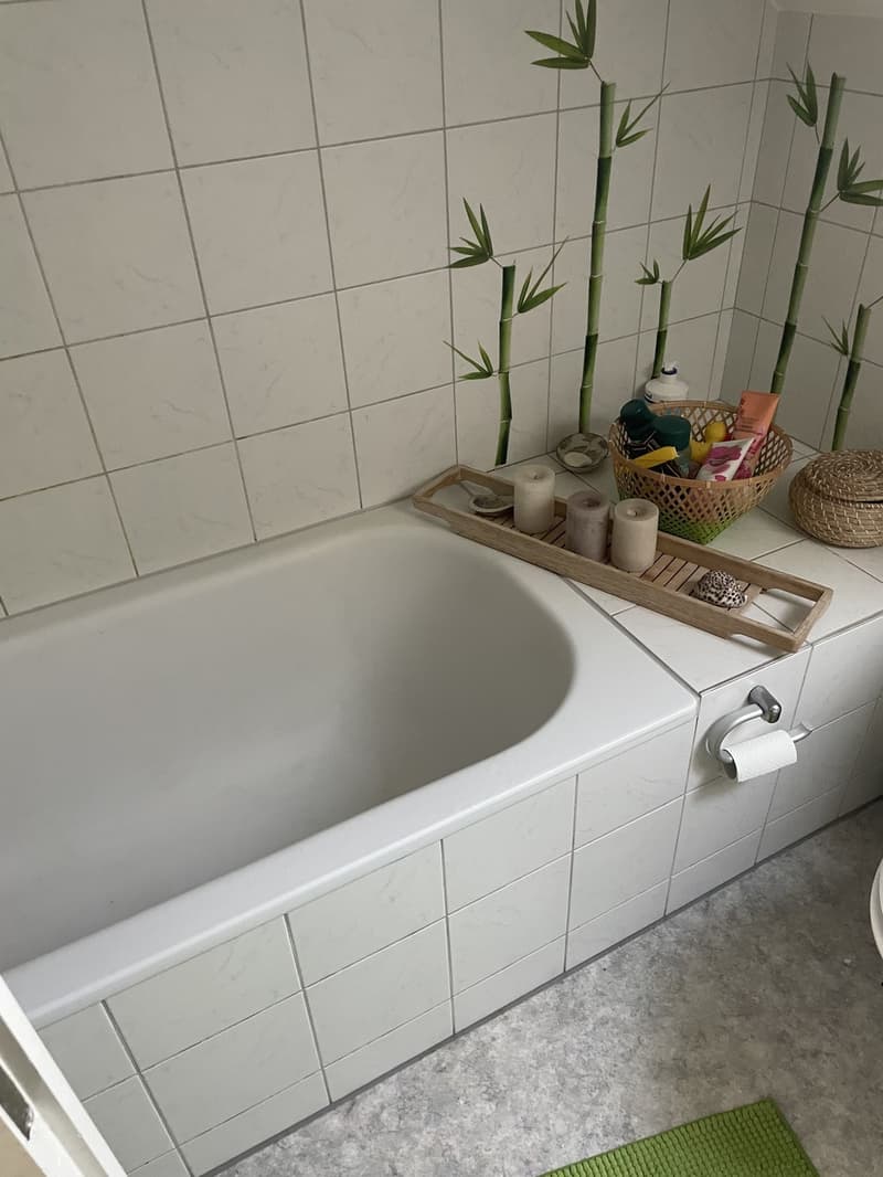 Grand Appartement (5)
