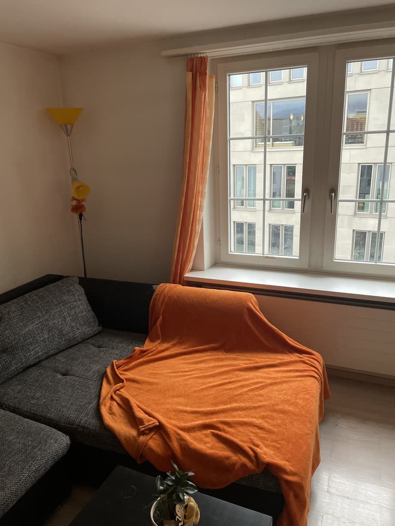 Grand Appartement (8)