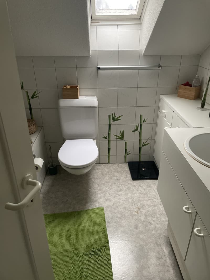 Grand Appartement (6)