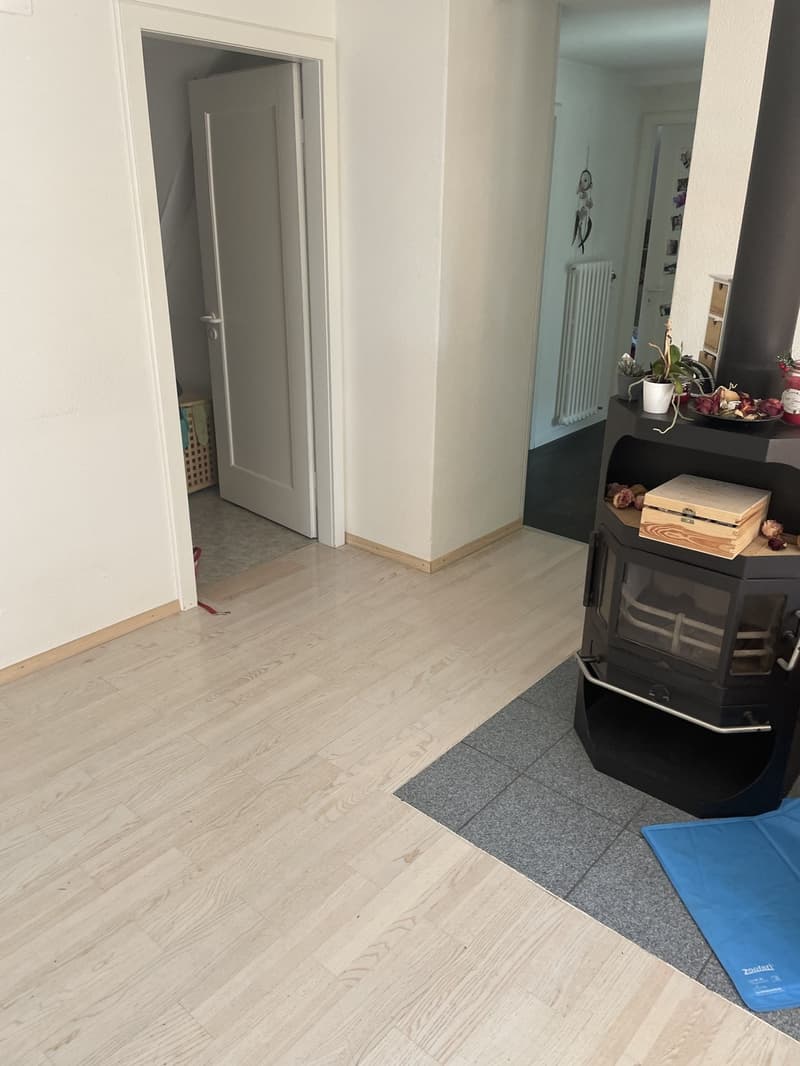 Grand Appartement (3)