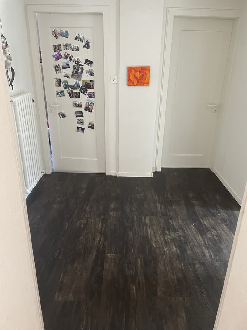 Grand Appartement (2)