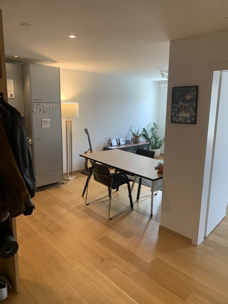 Moderne 2-Zimmer im Herzen von Schaffhausen mit grosser Dachterasse (2)