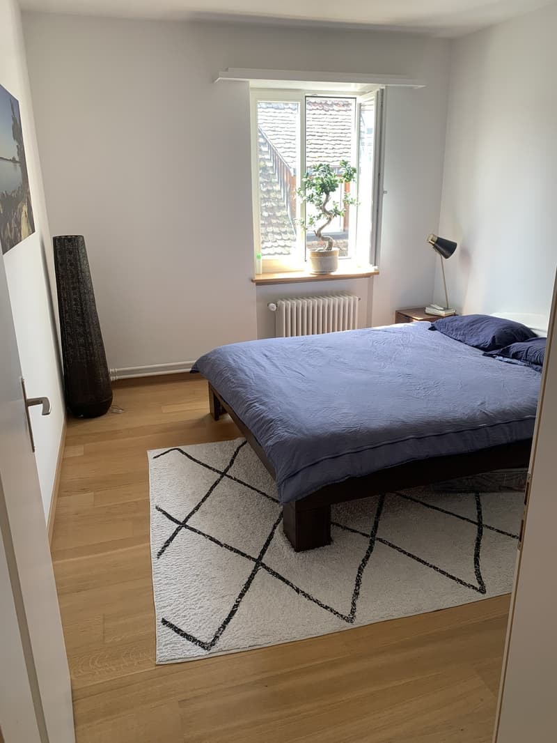 Moderne 2-Zimmer im Herzen von Schaffhausen mit grosser Dachterasse (5)