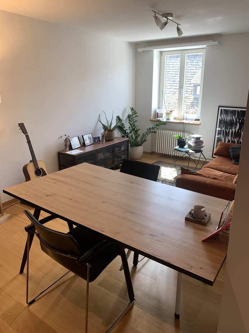 Moderne 2-Zimmer im Herzen von Schaffhausen mit grosser Dachterasse (3)