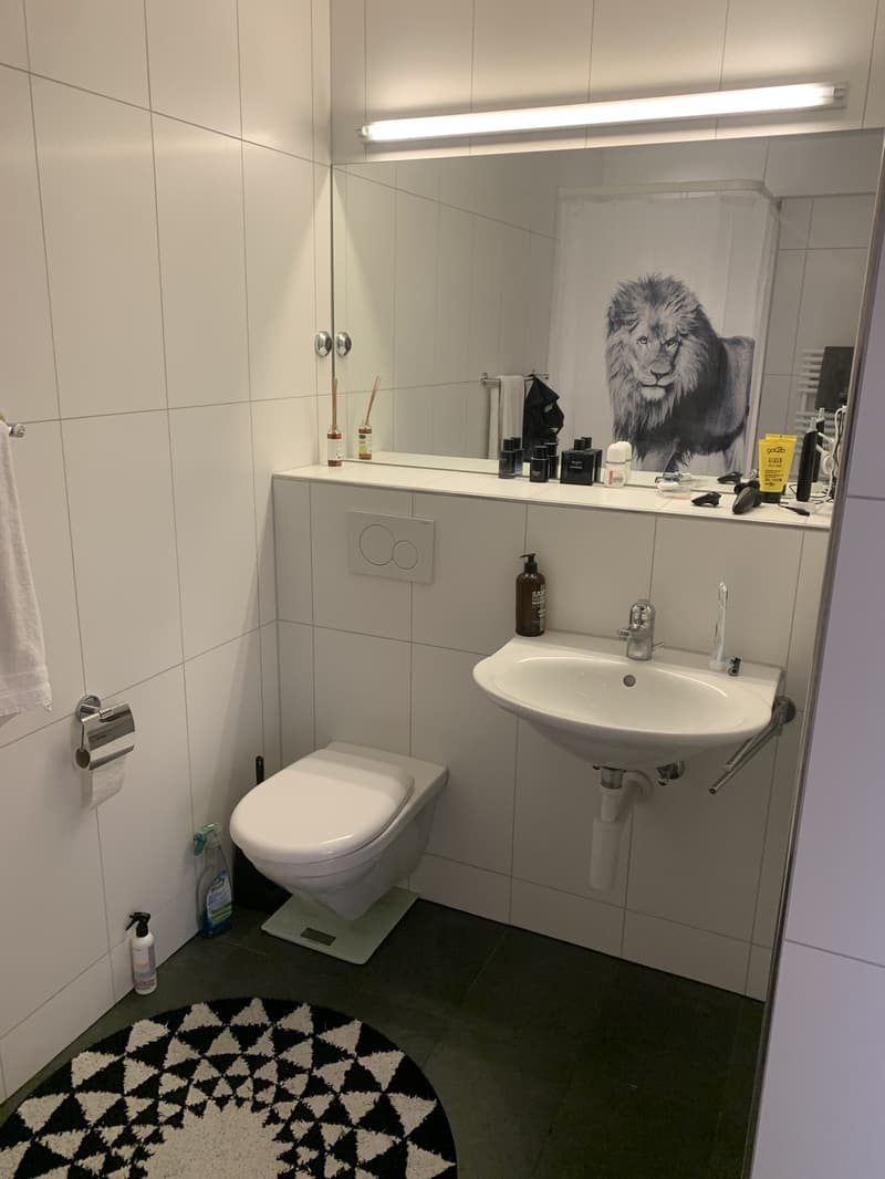 Moderne 2-Zimmer im Herzen von Schaffhausen mit grosser Dachterasse (6)