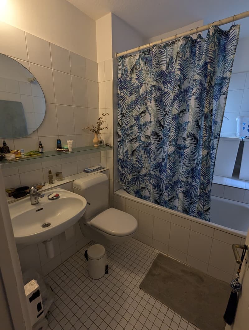 TEMPORARY Beautiful 2-room apartment in Länggasse for sublet from January to March 2027 (6)