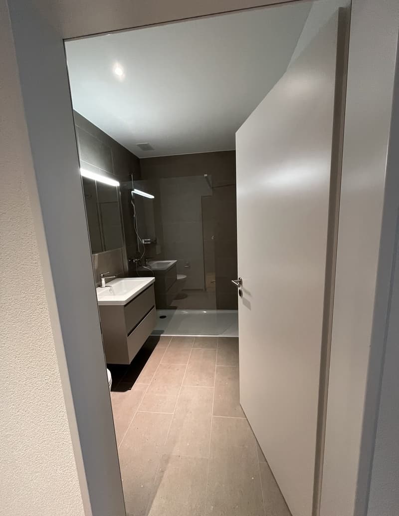 Beautiful new 2.5 room apartment (4)