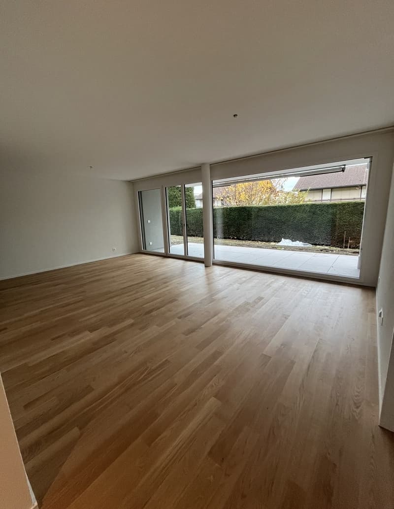 Beautiful new 2.5 room apartment (2)
