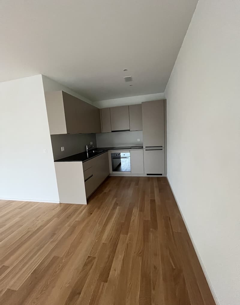 Beautiful new 2.5 room apartment (3)