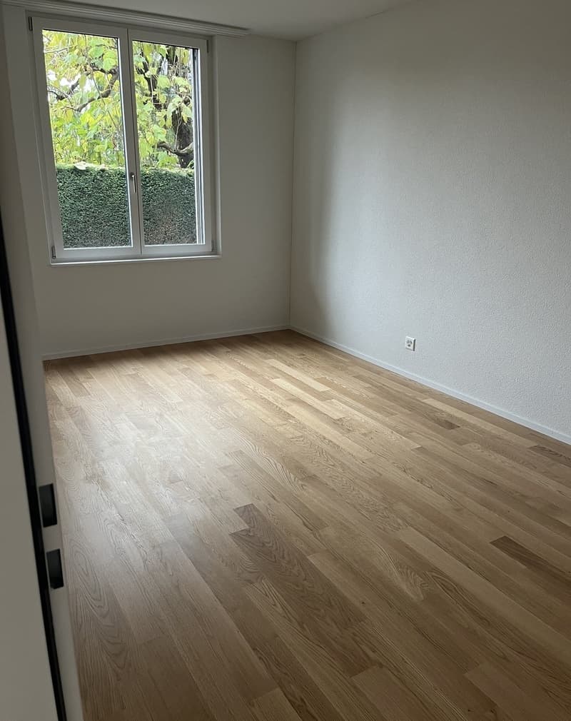 Beautiful new 2.5 room apartment (5)