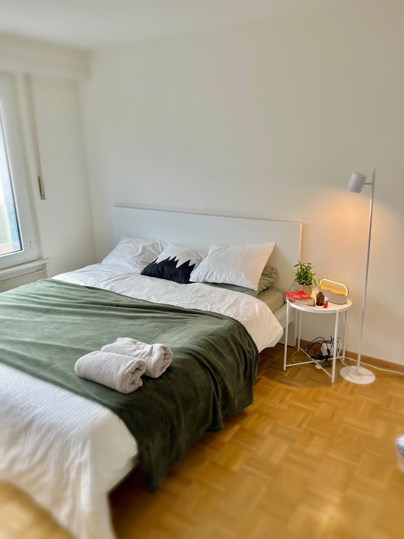 For Rent Bright 3 Room Apartment in the Heart of Vevey, Steps from Lake Geneva (4)