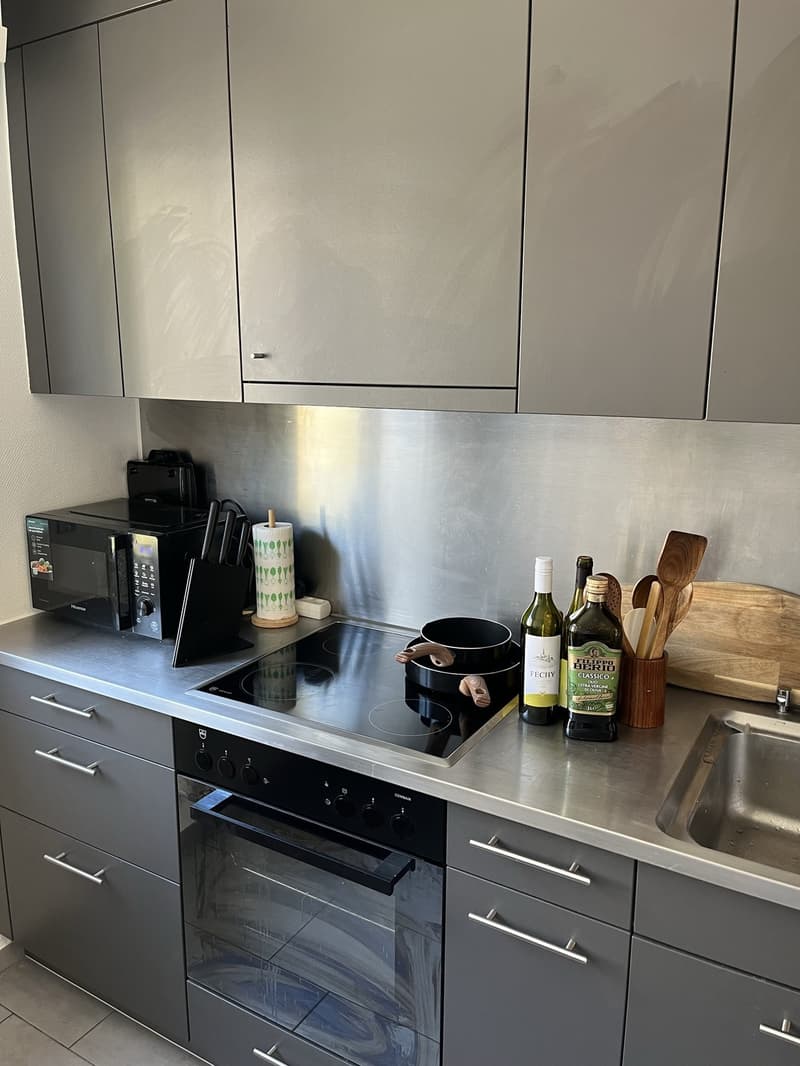 For Rent Bright 3 Room Apartment in the Heart of Vevey, Steps from Lake Geneva (6)