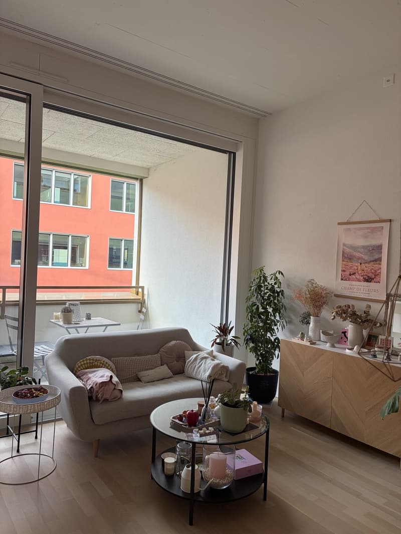 Moderne Wohnung ab 15.09.2026 zu vermieten / Modern Apartment for Rent from 15.09.2026 (3)