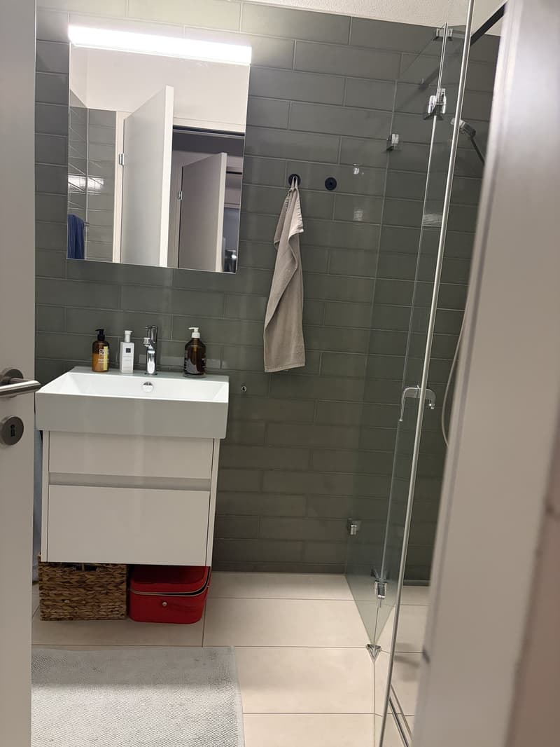Moderne Wohnung ab 15.09.2026 zu vermieten / Modern Apartment for Rent from 15.09.2026 (7)