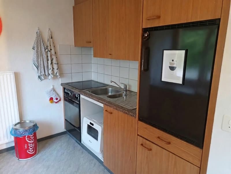 2.5 room apartment with garden seating (3)