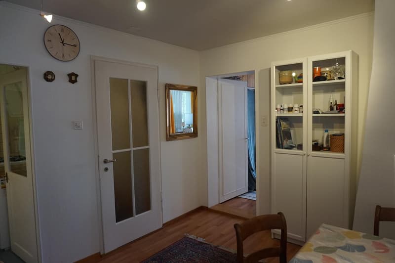 Appartement de 3 pièces confortable avec jardin au centre de Richterswil à louer (6)