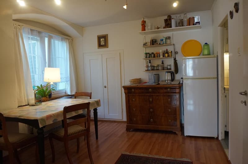 Appartement de 3 pièces confortable avec jardin au centre de Richterswil à louer (5)