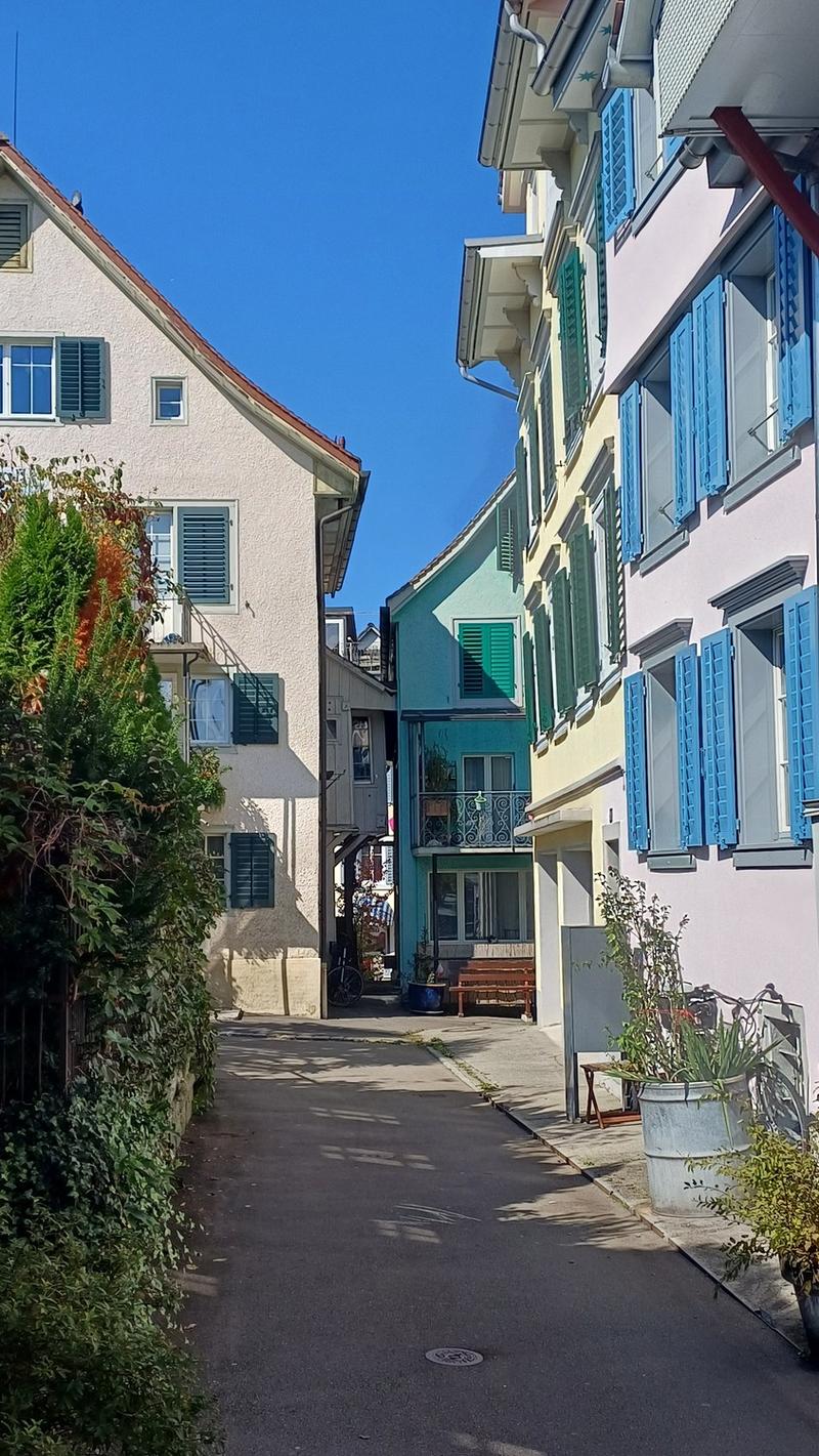 Appartement de 3 pièces confortable avec jardin au centre de Richterswil à louer (2)