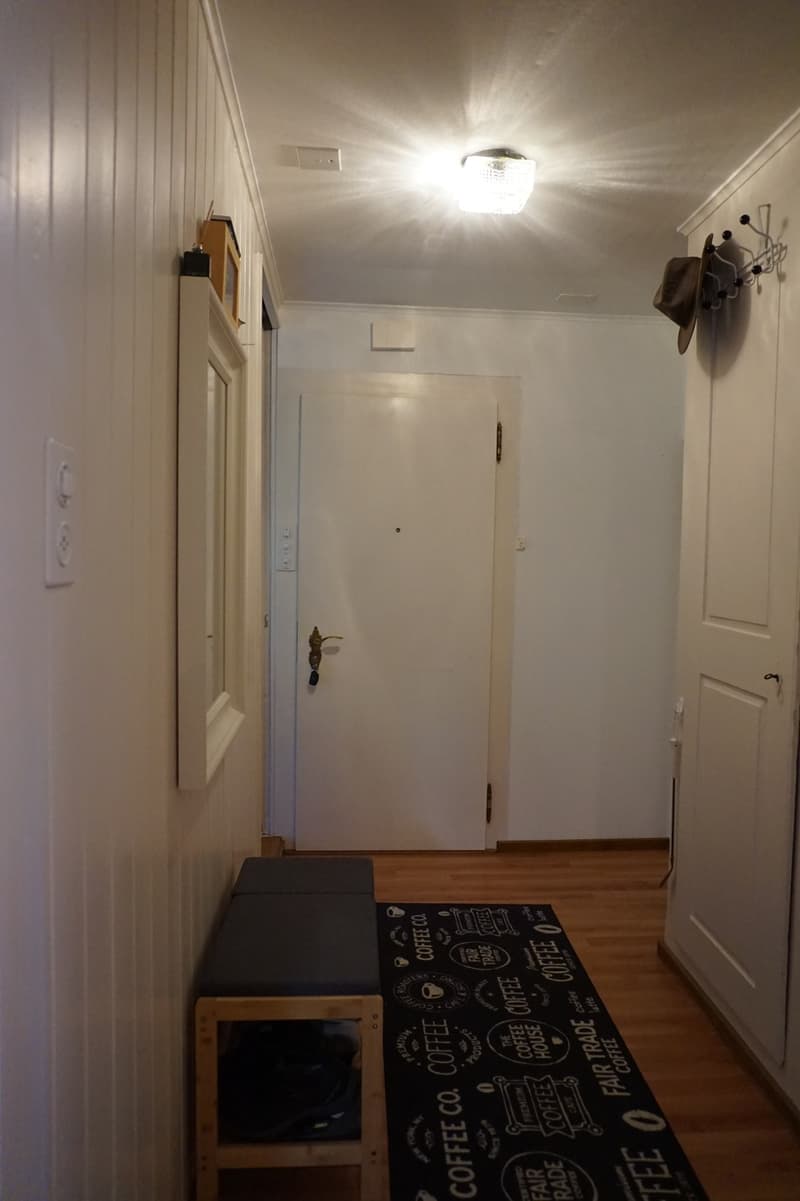 Appartement de 3 pièces confortable avec jardin au centre de Richterswil à louer (4)