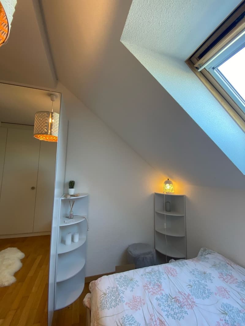 Room in Prangins (3)