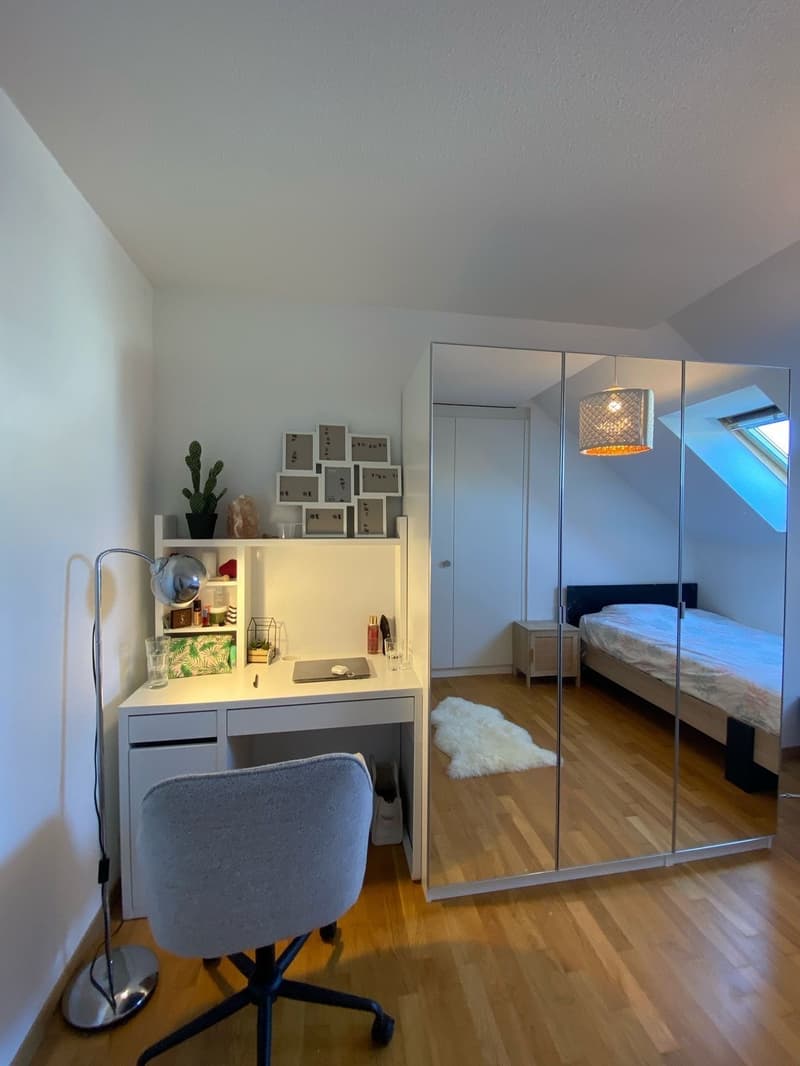 Room in Prangins (1)